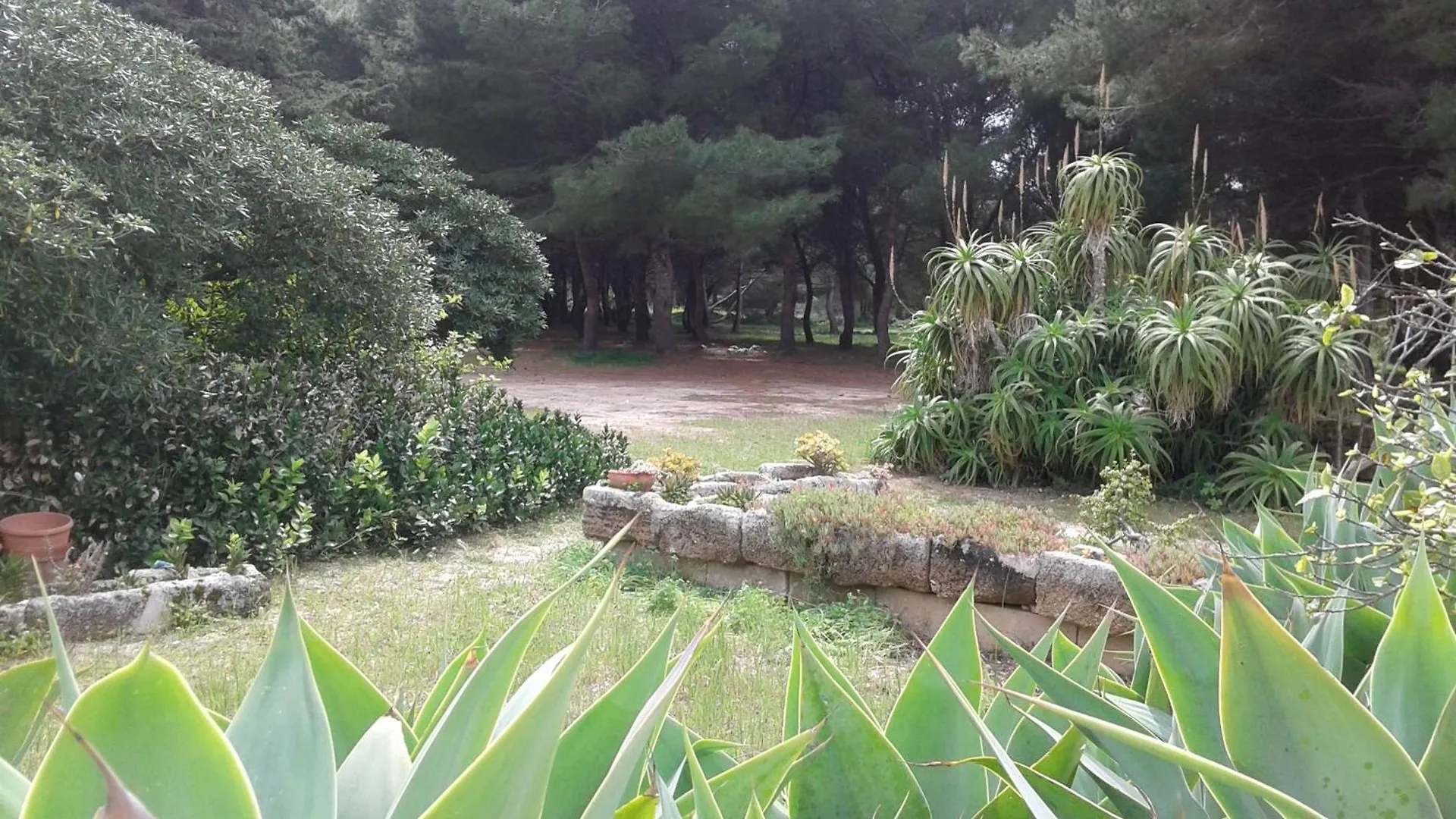 Nyaraló Villa La Pineta Favignana