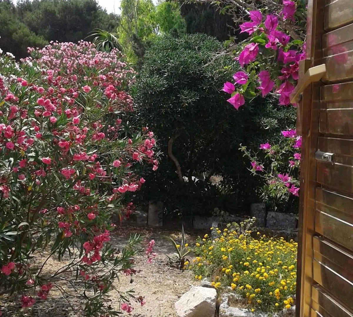 Villa La Pineta Favignana